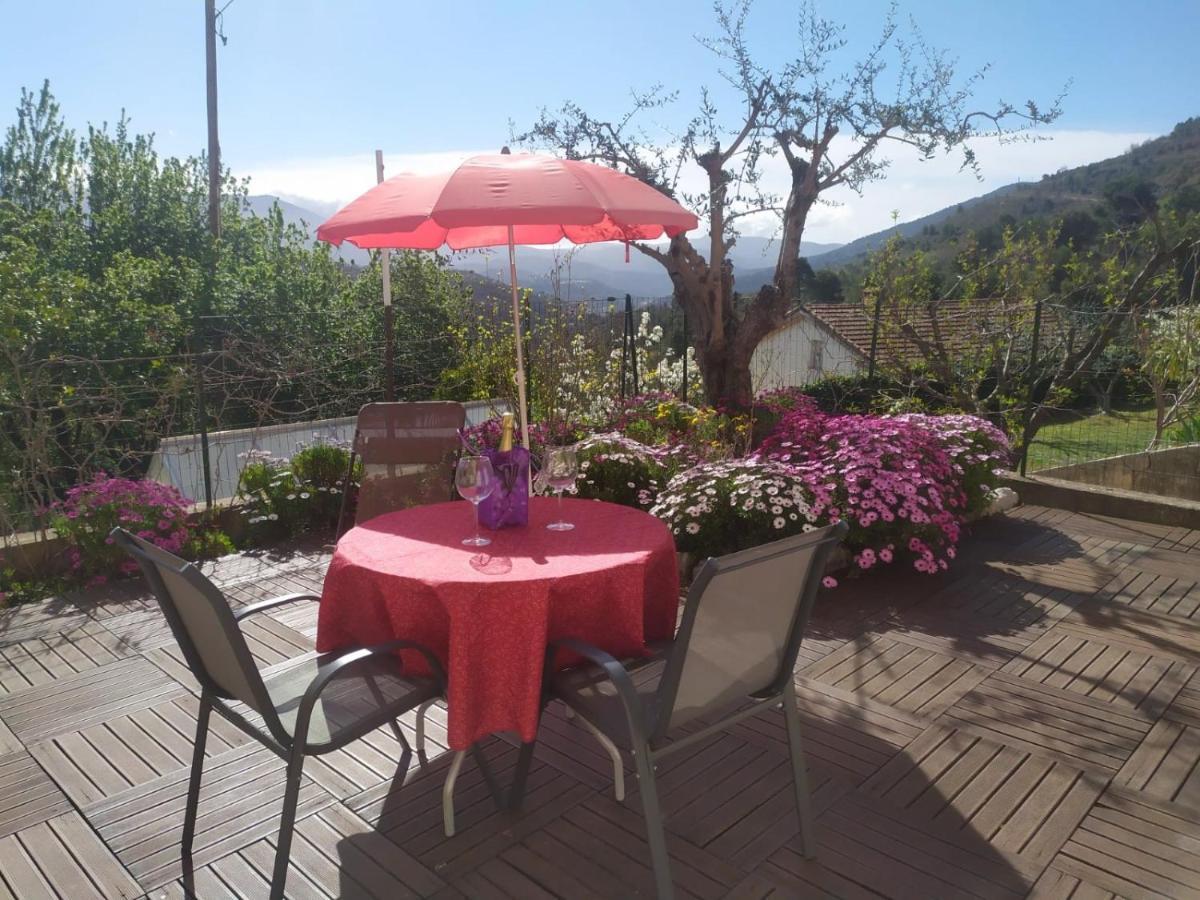 Studio Le Romantique A 20 Kms De Nice Bendéjun Екстериор снимка
