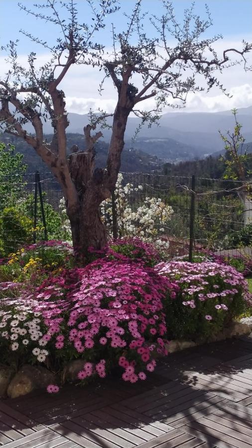 Studio Le Romantique A 20 Kms De Nice Bendéjun Екстериор снимка